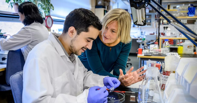 Lunds Universitet, splash image.